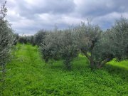 Pagkalochori Kreta, Pagkalochori: Großes Grundstück zu verkaufen Grundstück kaufen